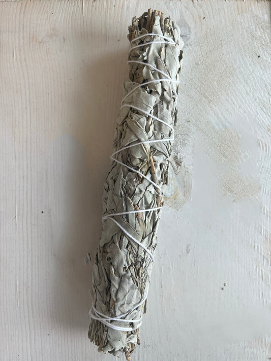 10" White Sage Stick