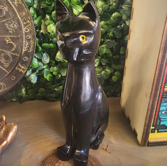 Onyx Black Cat